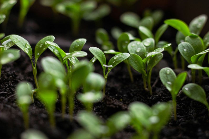 SCI In Focus: Green shoots emerge for European leveraged loans